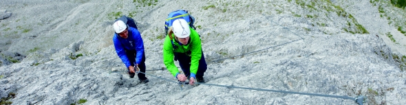 Alpin